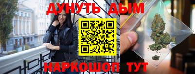 сатива Будённовск
