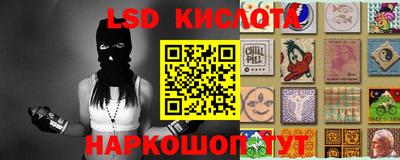сатива Будённовск