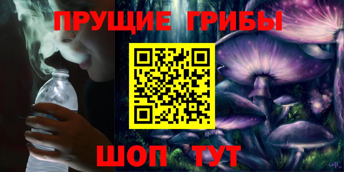 Галлюциногенные грибы прущие грибы  Вход с VPN  где можно купить наркотик  Нововоронеж 