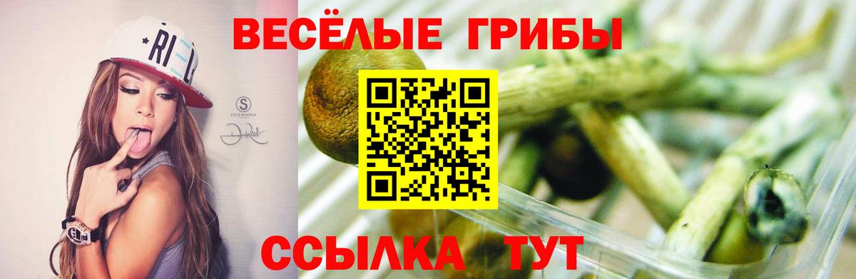 Псилоцибиновые грибы мицелий Нововоронеж